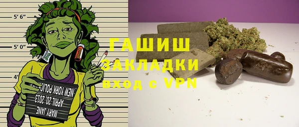 spice Богородицк